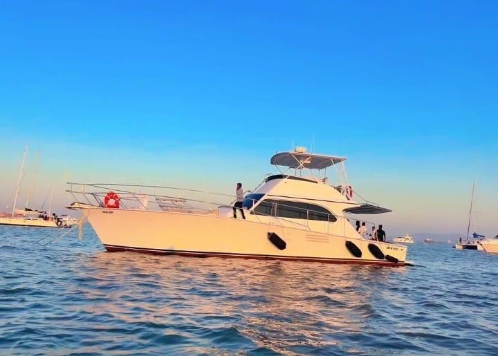Royal Lady 60